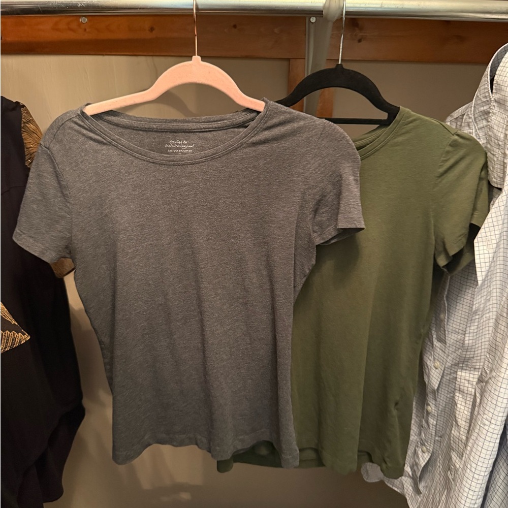 2 Pack Banana Republic Timeless Tees